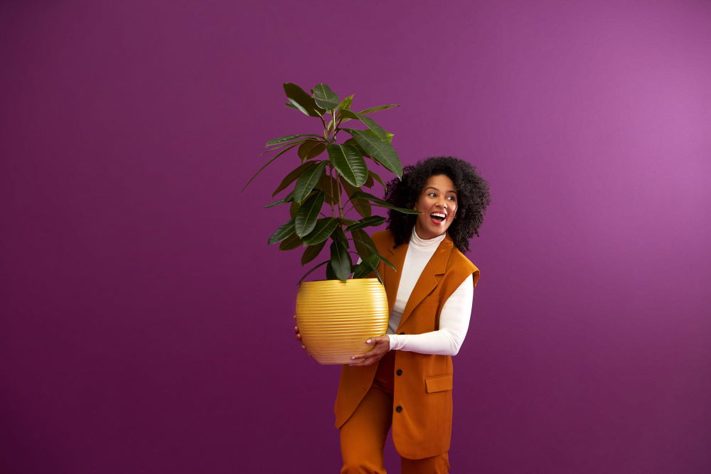 Person trägt Topfpflanze